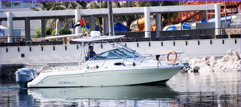 2008 Robalo R265 Walkaround